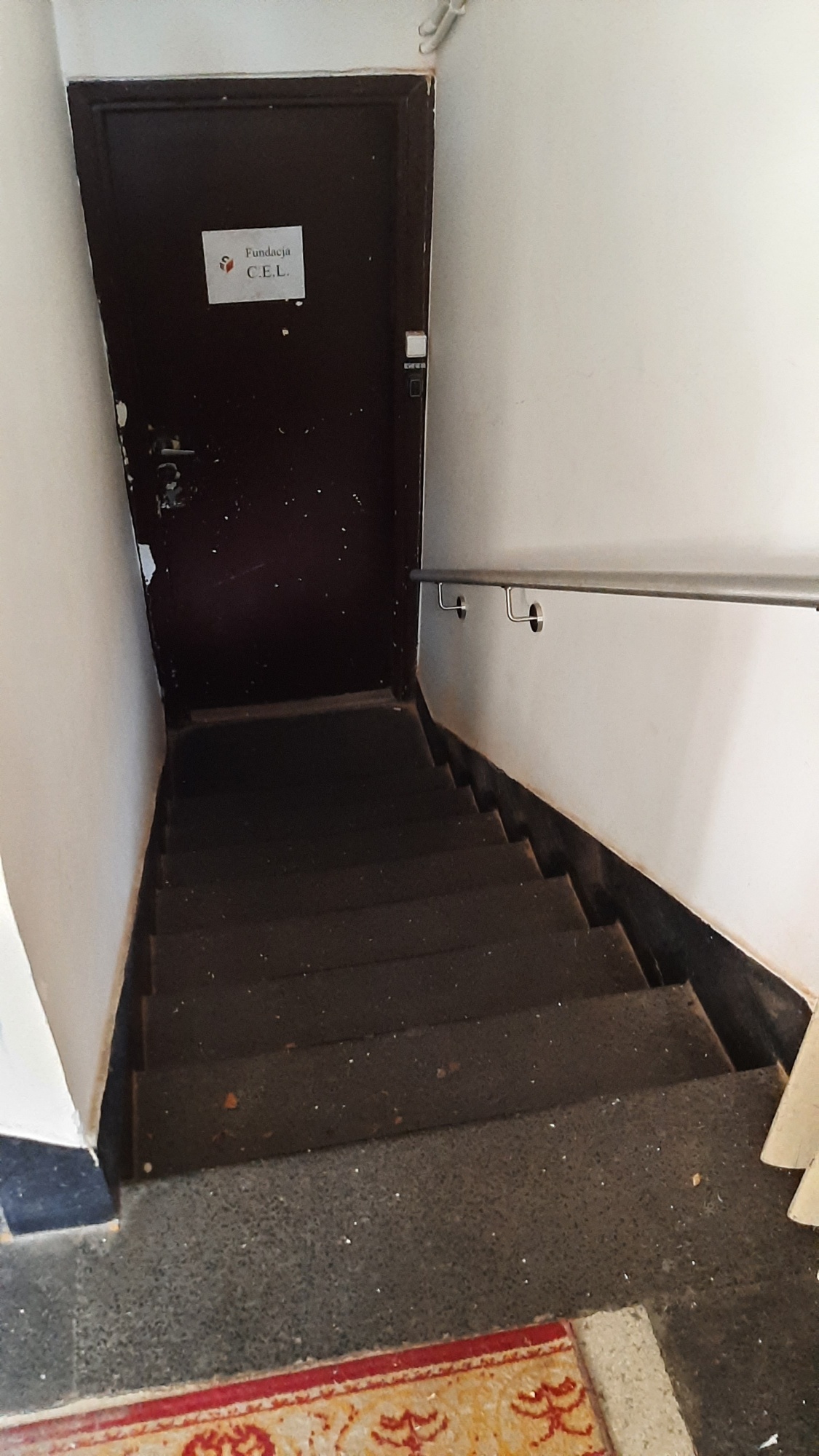 schody z poziomu podwórka do holu na poziomie piwnic i lokalu C.E.L